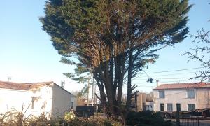  La Roche-sur-Yon