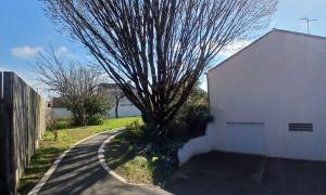 Élagueur à Rezé Paysagiste Nantes (44) & Jardinier