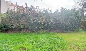 Abattage d'une haie et rognage de souche à Rezé 