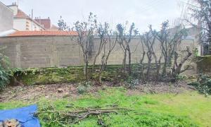 Abattage d'une haie et rognage de souche à Rezé 
